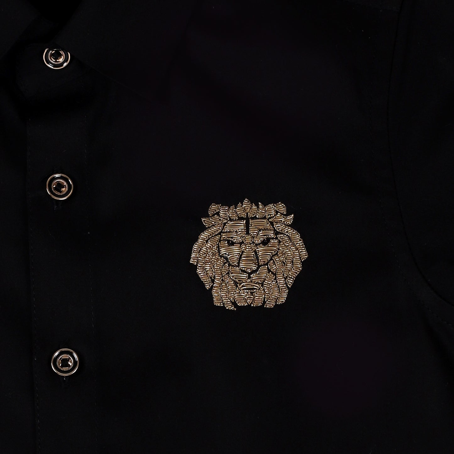 Lion motif shirt