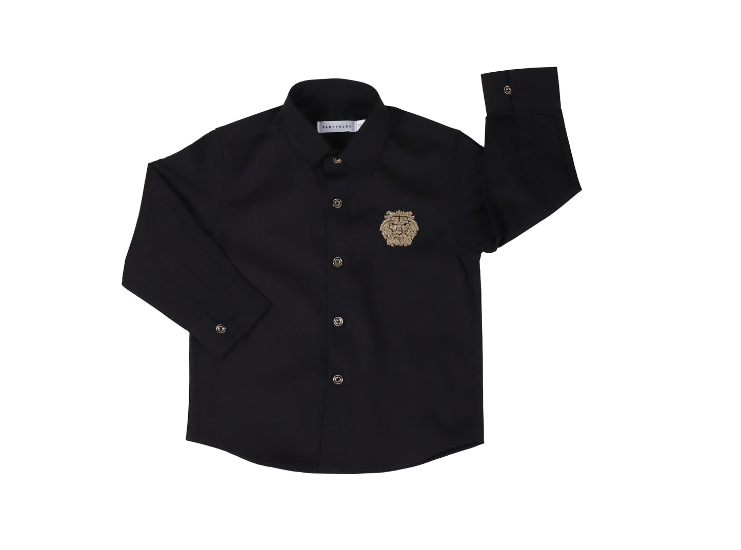 Lion motif shirt
