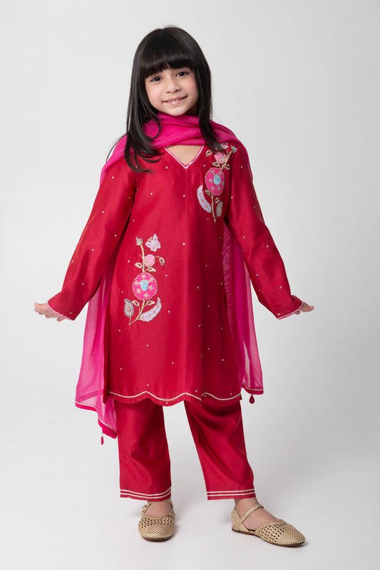 Cherry Colour Ethnic Suit With Very Attractive Embroidery With Matching Pants And Contrast Dupata