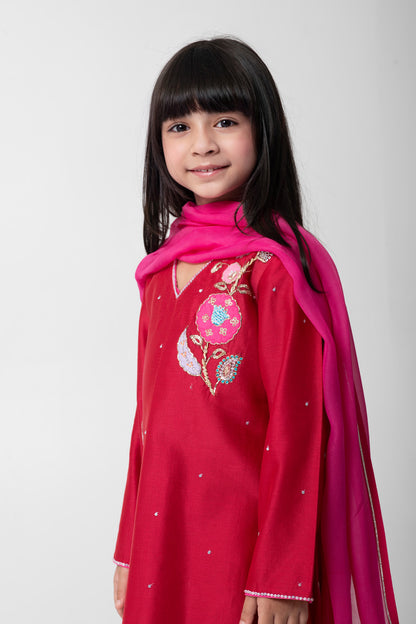 Cherry Colour Ethnic Suit With Very Attractive Embroidery With Matching Pants And Contrast Dupata