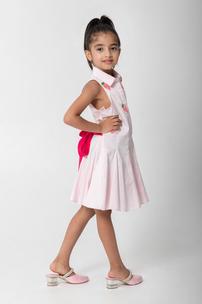 Strawberry Embroidered Pastel Pink Flared Dresses