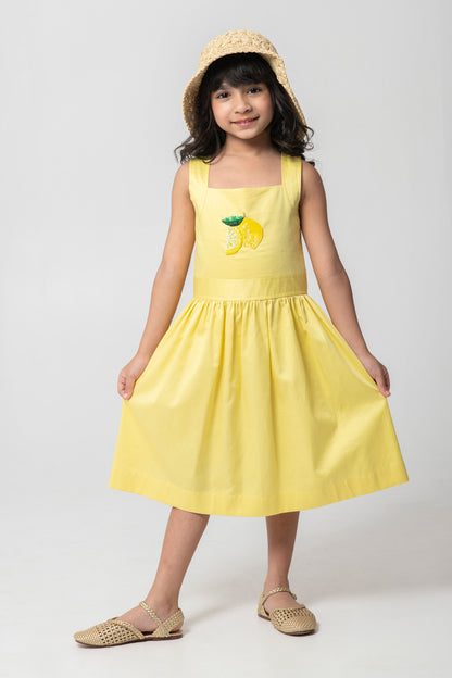 Fresh Lemon Embroidered Dresses