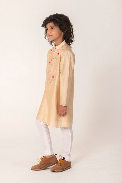 NECK EMBROIDERY KURTA IN GOLDEN COLOUR