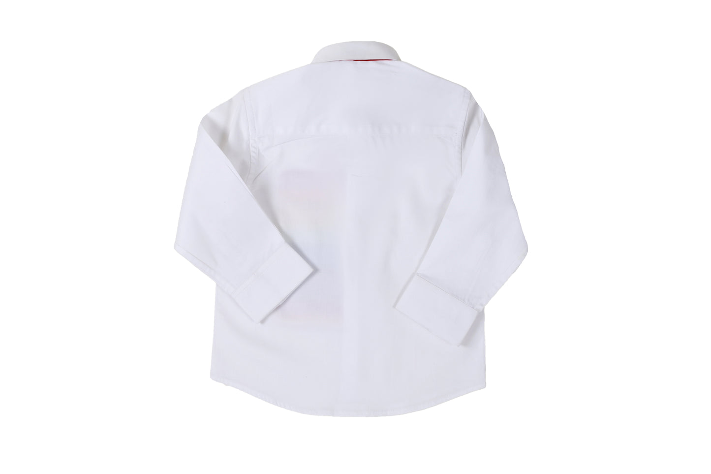 paint the zebra rainbow shirt