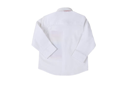 paint the zebra rainbow shirt